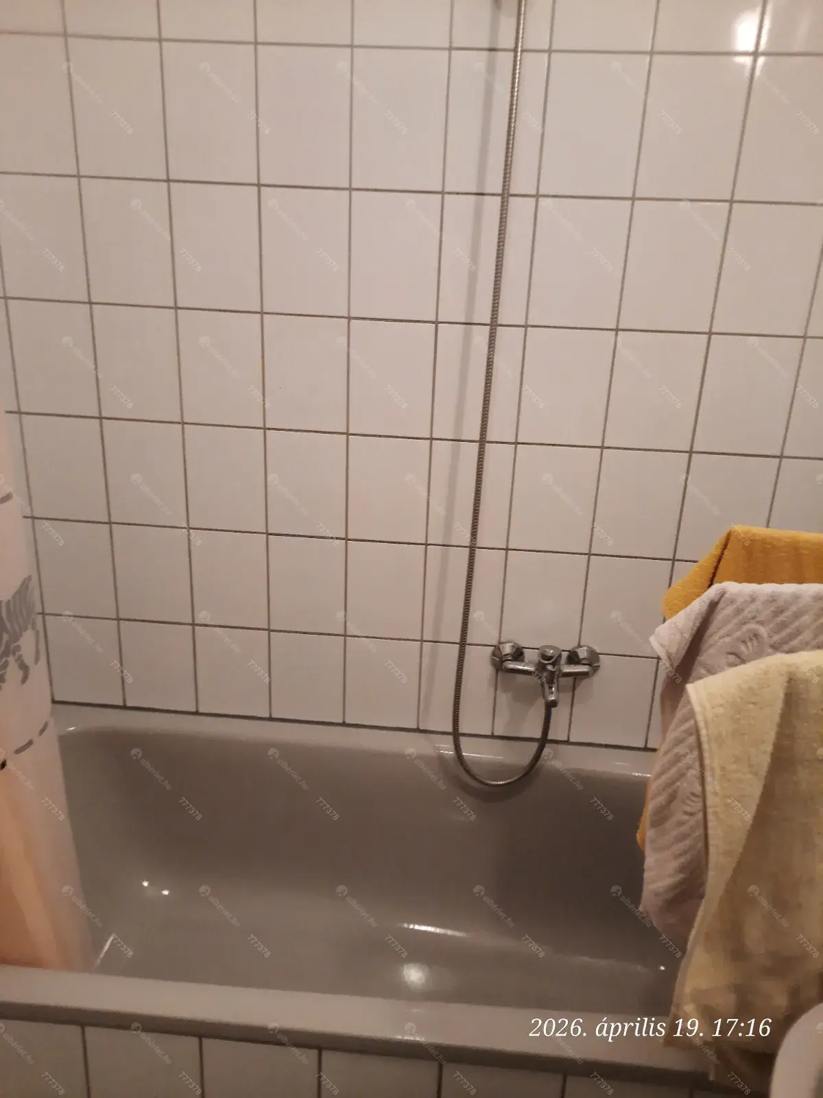 Kiadó albérlet 185000 Ft/hó áron: ,   . Mérete: 41 nm, 1 szobás | Alberlet.hu - 6702991