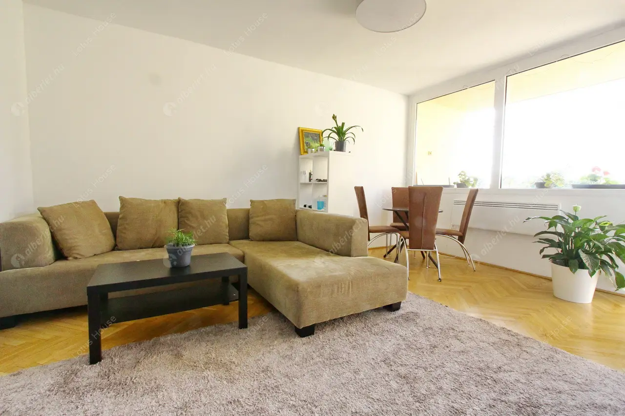 Kiadó albérlet 0 Ft/hó áron: ,   . Mérete:  nm, 1 szobás | Alberlet.hu - 6097097