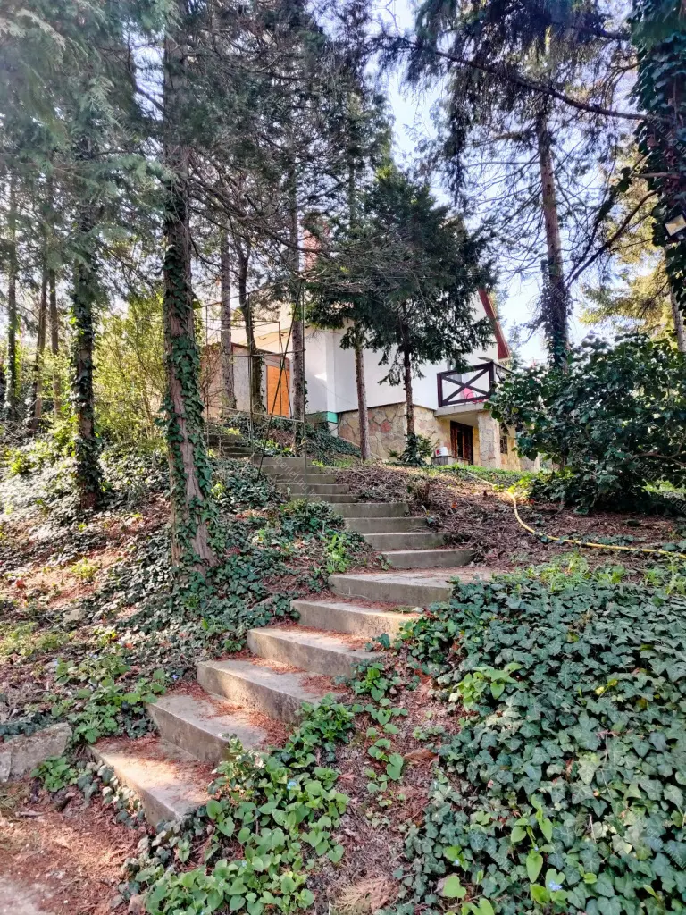 Kiadó albérlet 250000 Ft/hó áron: Aba,  Rozmaring utca. Mérete: 55 nm, 2 szobás | Alberlet.hu - 6691592