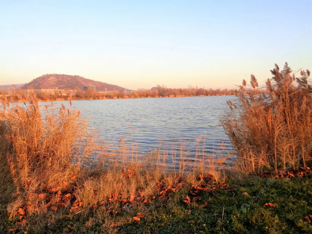 Kiadó albérlet 320000 Ft/hó áron: Biatorbágy,  Kőris utca. Mérete: 72 nm, 2 szobás | Alberlet.hu - 6629147