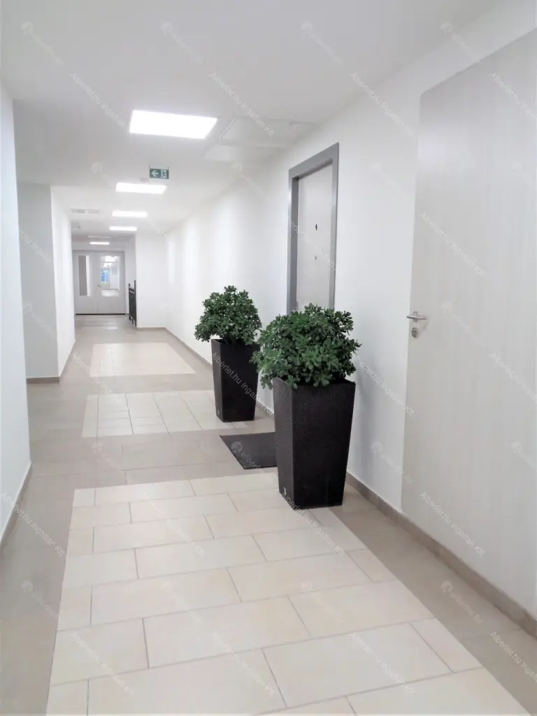 Kiadó albérlet 320000 Ft/hó áron: Biatorbágy,  Kőris utca. Mérete: 72 nm, 2 szobás | Alberlet.hu - 6652803