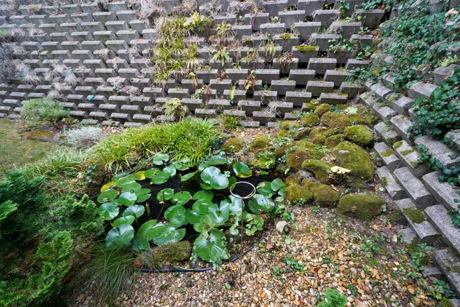 Kiadó albérlet 850000 Ft/hó áron: Budakeszi,  Virágvölgy utca. Mérete: 280 nm, 4 szobás | Alberlet.hu - 6245484