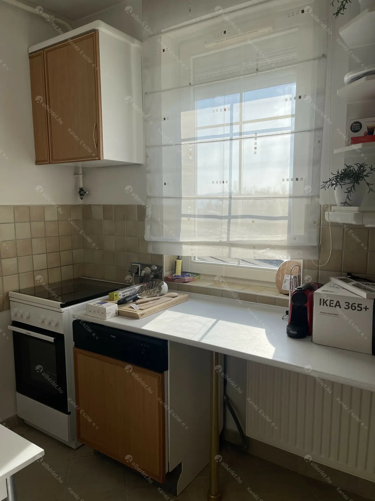 Kiadó albérlet 299000 Ft/hó áron: Budaörs,  Ebner György  . Mérete: 50 nm, 2 szobás | Alberlet.hu - 6465302