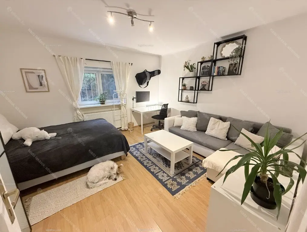 Kiadó albérlet 275000 Ft/hó áron: Budapest, I. kerület  Alsóhegy utca. Mérete: 43 nm, 2 szobás | Alberlet.hu - 6647953