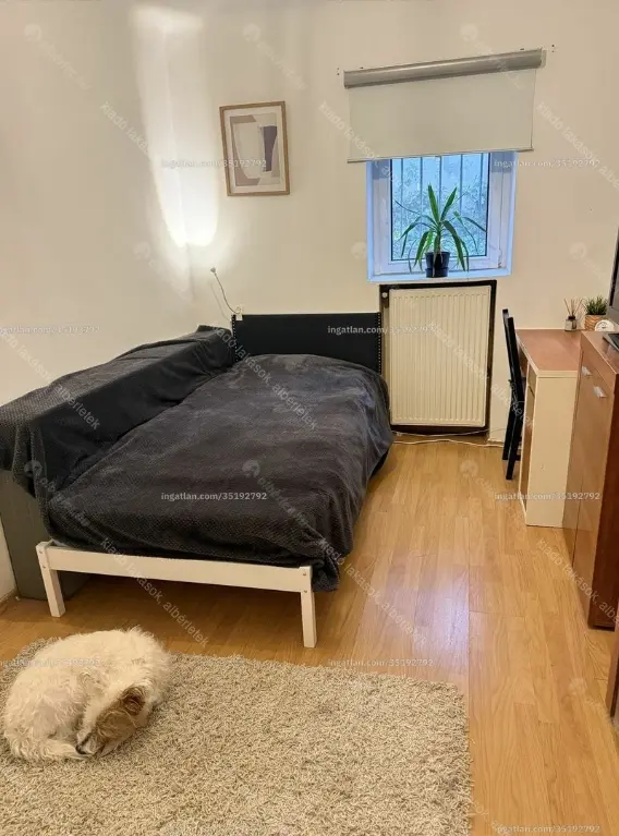 Kiadó albérlet 275000 Ft/hó áron: Budapest, I. kerület  Alsóhegy utca. Mérete: 43 nm, 2 szobás | Alberlet.hu - 6647957