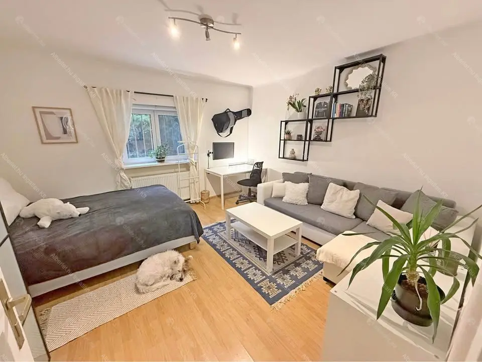 Kiadó albérlet 270000 Ft/hó áron: Budapest, I. kerület  Alsóhegy utca. Mérete: 43 nm, 2 szobás | Alberlet.hu - 6653479