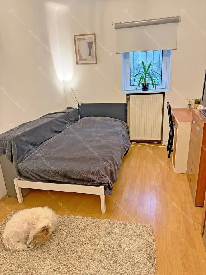 Kiadó albérlet 270000 Ft/hó áron: Budapest, I. kerület  Alsóhegy utca. Mérete: 43 nm, 2 szobás | Alberlet.hu - 6653482