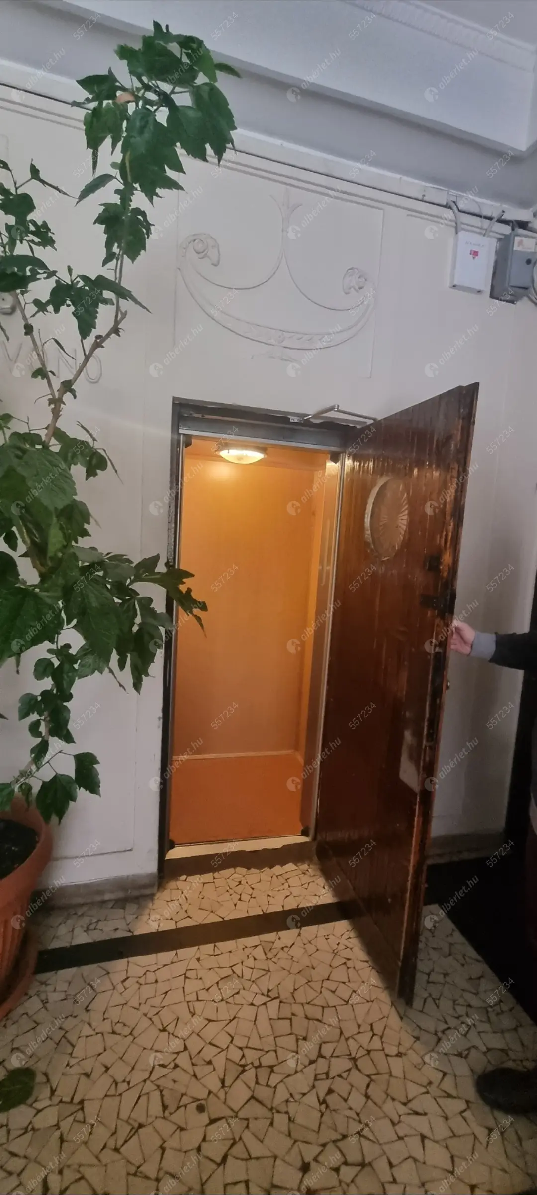 Kiadó albérlet 320000 Ft/hó áron: Budapest, I. kerület  Attila út. Mérete: 60 nm, 2 szobás | Alberlet.hu - 6579121