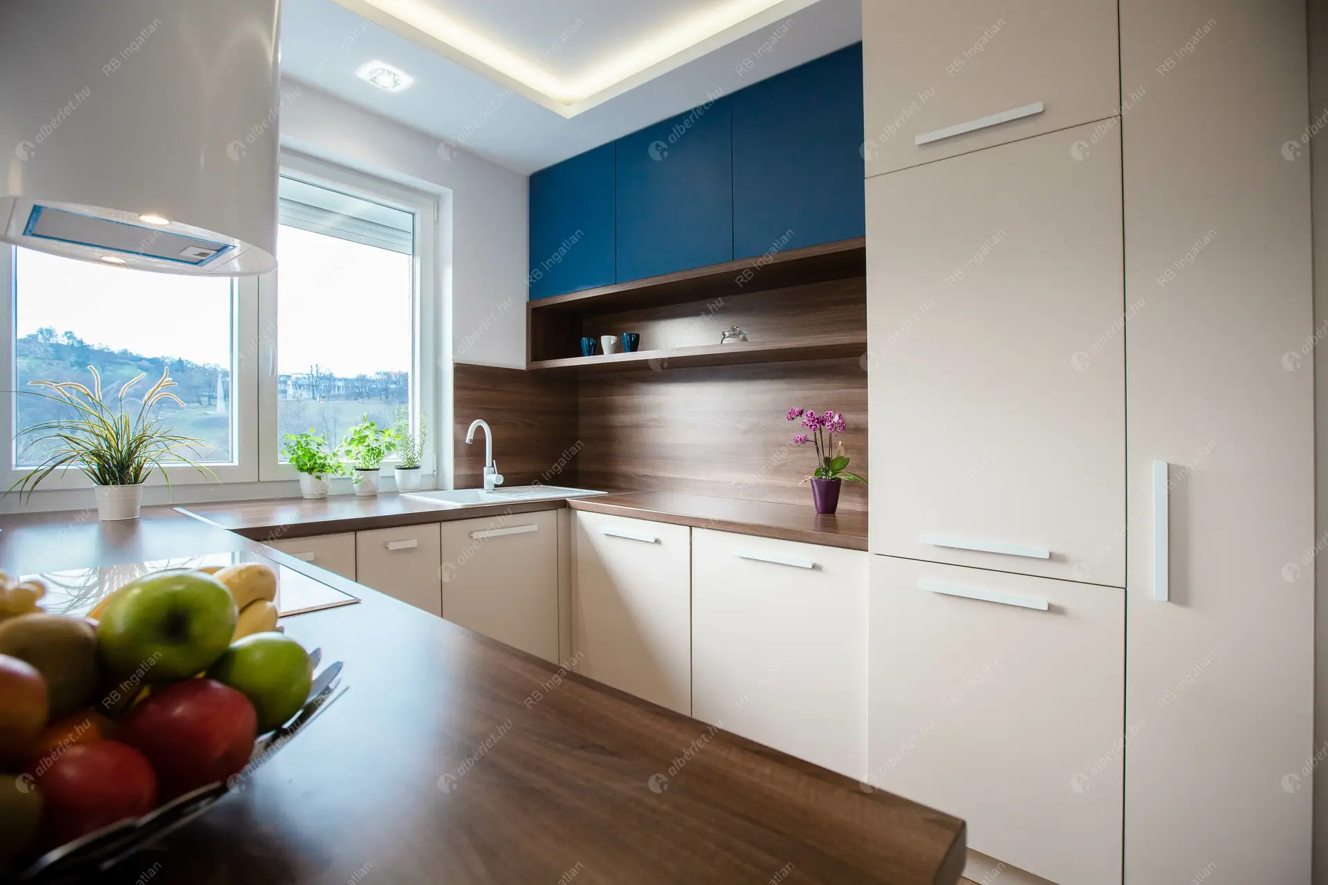 Kiadó albérlet 800000 Ft/hó áron: Budapest, I. kerület  Attila út. Mérete: 79 nm, 4 szobás | Alberlet.hu - 6231353