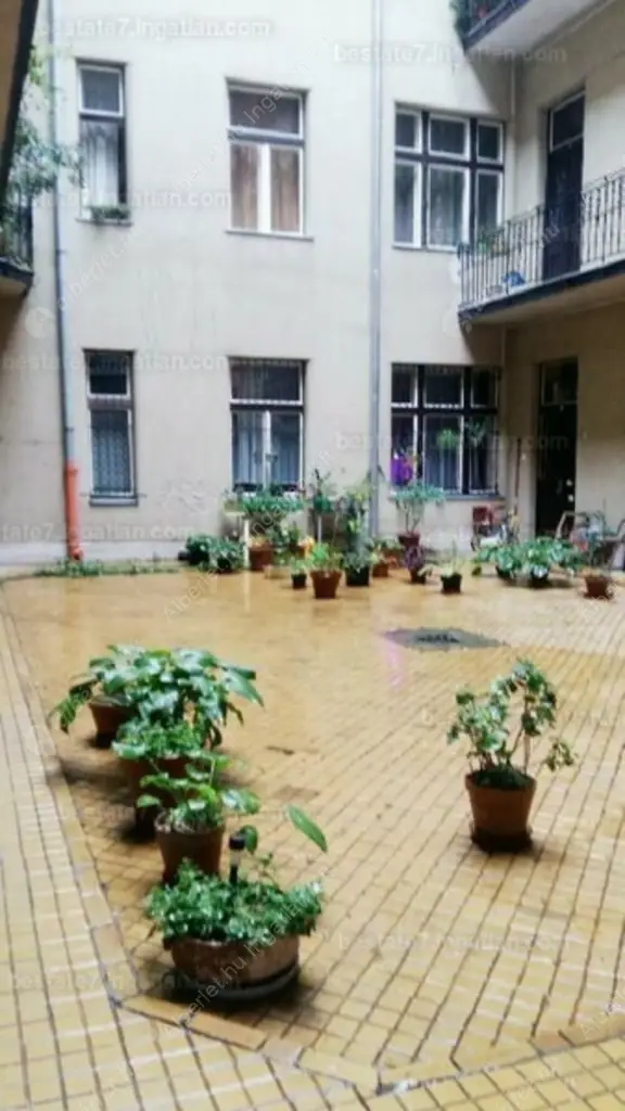 Kiadó albérlet 380000 Ft/hó áron: Budapest, I. kerület  Donáti utca. Mérete: 91 nm, 3 szobás | Alberlet.hu - 6604315