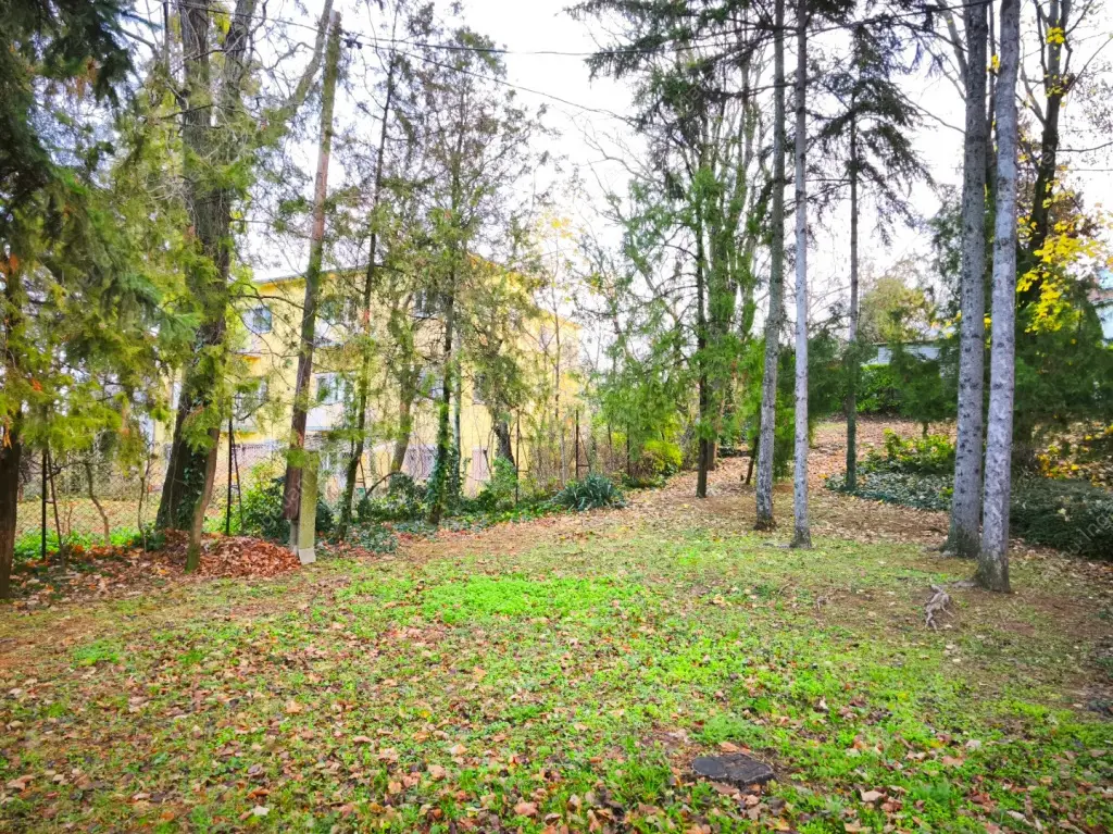 Kiadó albérlet 230000 Ft/hó áron: Budapest, I. kerület  Mihály utca. Mérete: 40 nm, 1 szobás | Alberlet.hu - 6591211