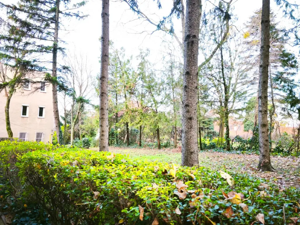 Kiadó albérlet 230000 Ft/hó áron: Budapest, I. kerület  Mihály utca. Mérete: 40 nm, 1 szobás | Alberlet.hu - 6591229