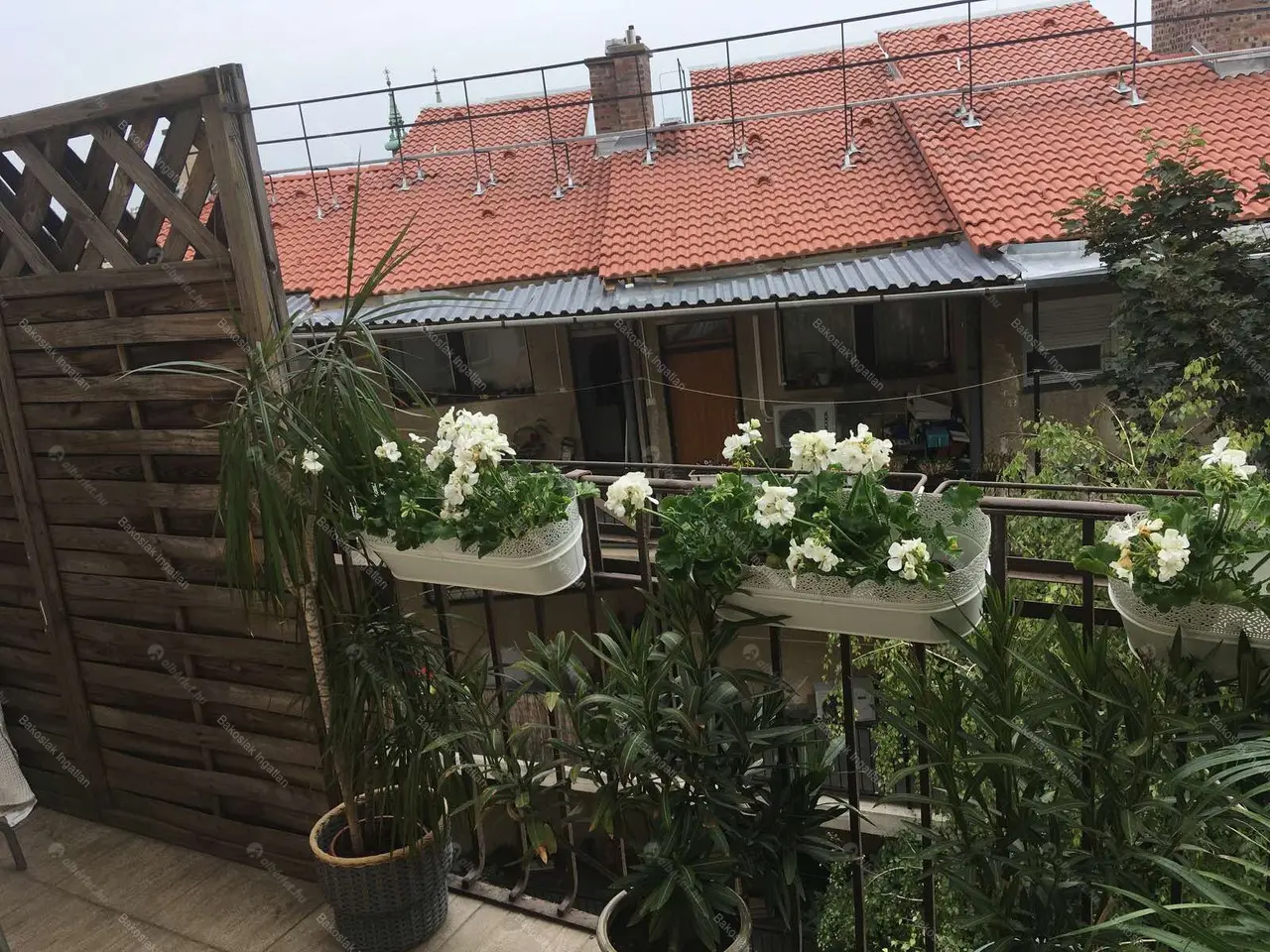 Kiadó albérlet 568000 Ft/hó áron: Budapest, I. kerület  Toldy Ferenc utca. Mérete: 100 nm, 3 szobás | Alberlet.hu - 4962423