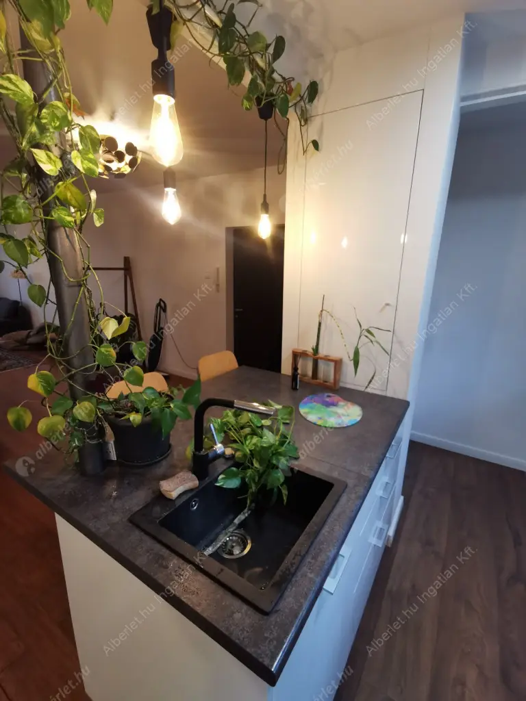 Kiadó albérlet 600000 Ft/hó áron: Budapest, I. kerület  Toldy Ferenc utca. Mérete: 105 nm, 5 szobás | Alberlet.hu - 6572975