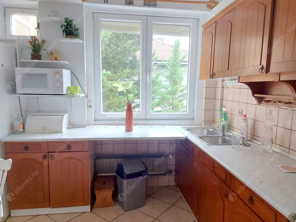 Kiadó albérlet 230000 Ft/hó áron: Budapest, II. kerület  Áfonya utca. Mérete: 53 nm, 1 szobás | Alberlet.hu - 6598952