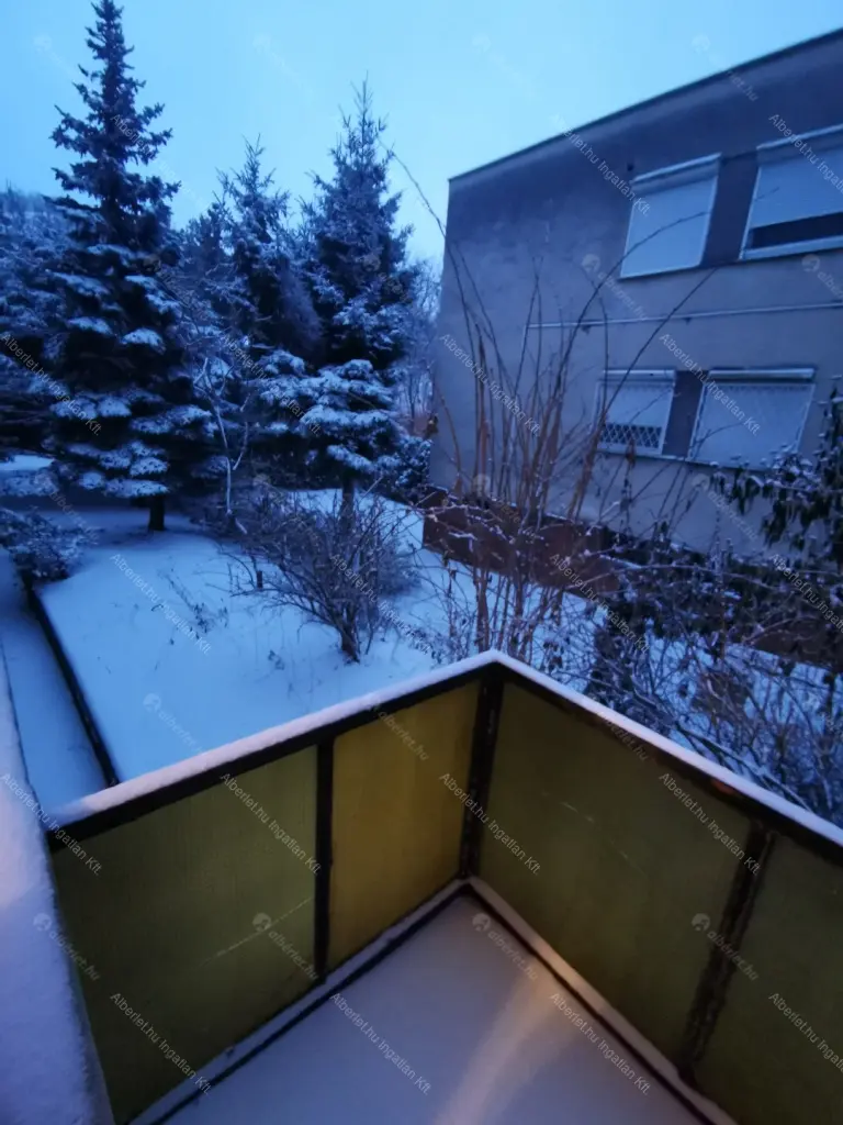 Kiadó albérlet 200000 Ft/hó áron: Budapest, II. kerület  Alsó Völgy utca. Mérete: 40 nm, 1 szobás | Alberlet.hu - 6642494