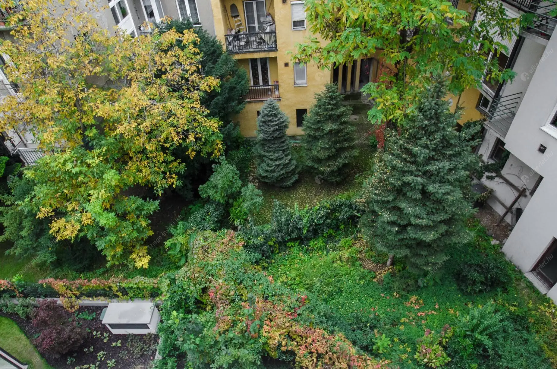 Kiadó albérlet 190000 Ft/hó áron: Budapest, II. kerület  Baka utca. Mérete: 33 nm, 1 szobás | Alberlet.hu - 6593222