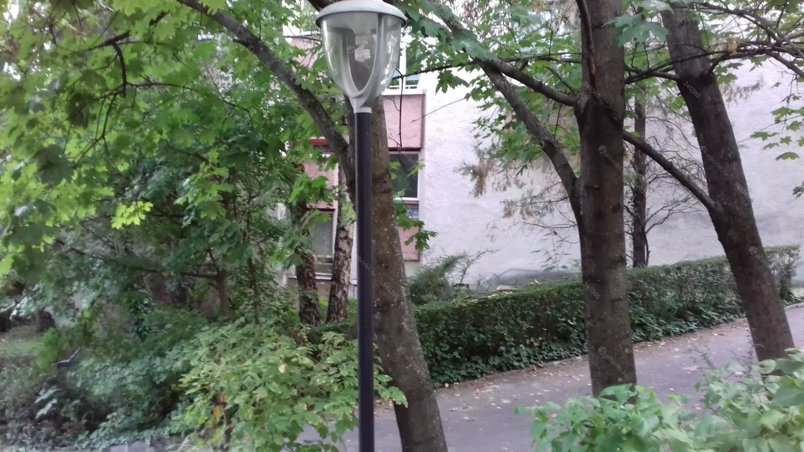 Kiadó albérlet 100000 Ft/hó áron: Budapest, II. kerület  Balogvár utca. Mérete: 11 nm,  szobás | Alberlet.hu - 6682804