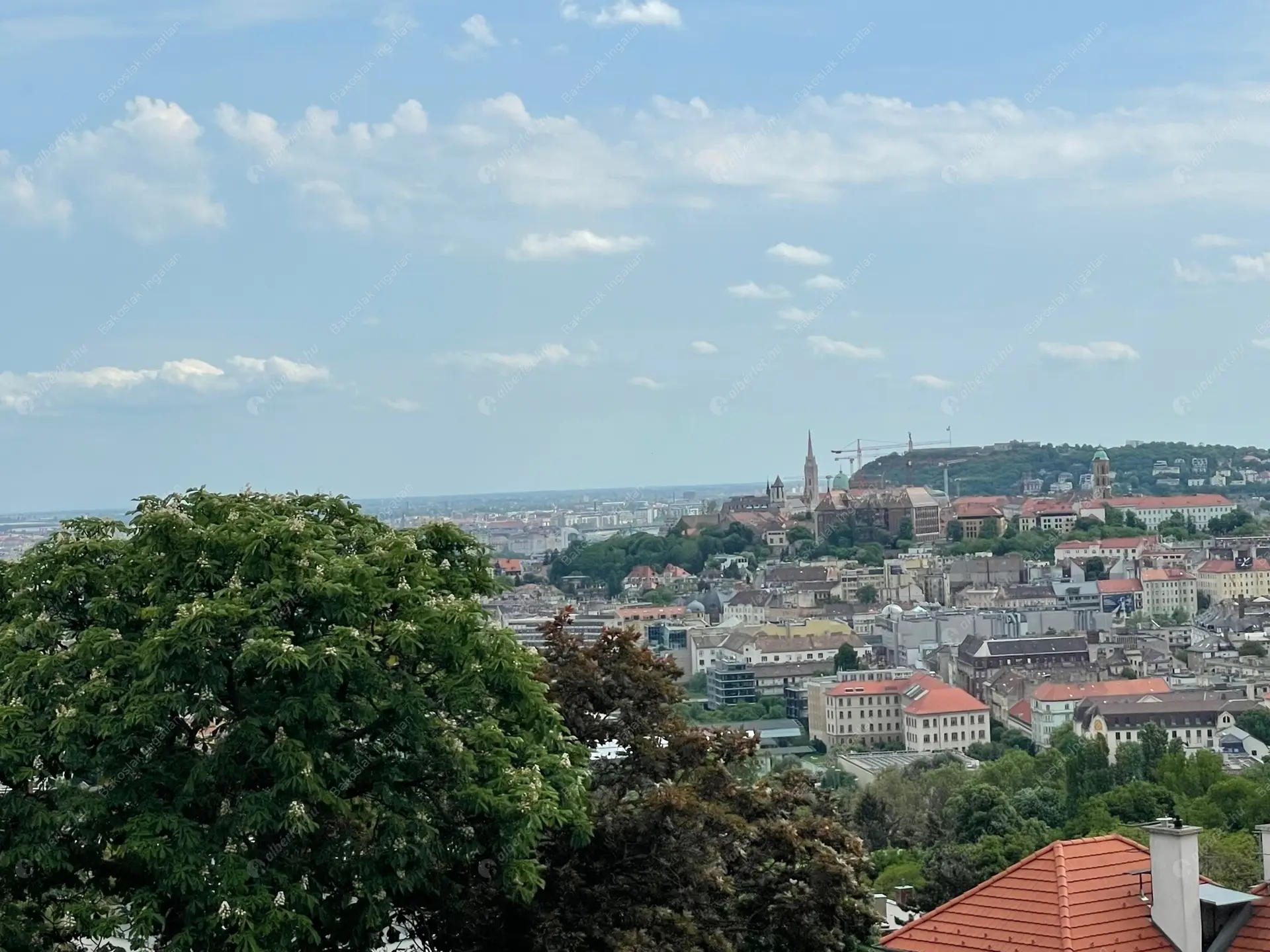 Kiadó albérlet 750000 Ft/hó áron: Budapest, II. kerület  Bimbó út. Mérete: 170 nm, 4 szobás | Alberlet.hu - 5669687