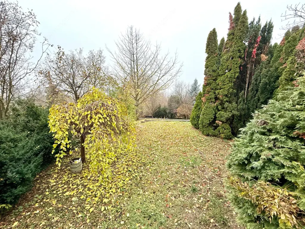 Kiadó albérlet 450000 Ft/hó áron: Budapest, II. kerület  Budajenő utca. Mérete: 250 nm, 4 szobás | Alberlet.hu - 6580886