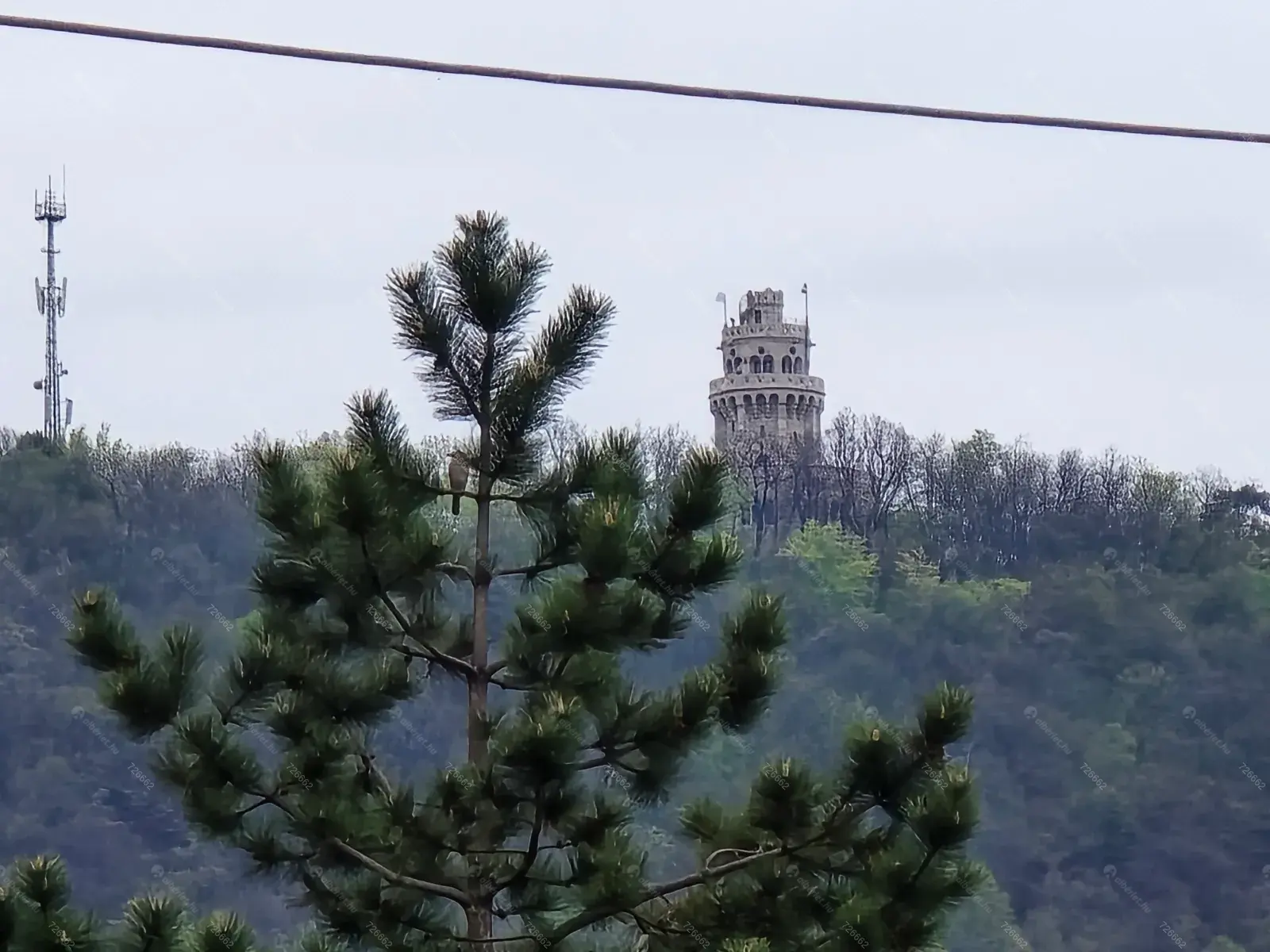 Kiadó albérlet 190000 Ft/hó áron: Budapest, II. kerület  Budakeszi  . Mérete: 54 nm, 2 szobás | Alberlet.hu - 6698559