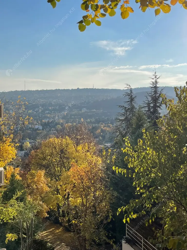 Kiadó albérlet 350000 Ft/hó áron: Budapest, II. kerület  Csalán út. Mérete: 85 nm, 2 szobás | Alberlet.hu - 6600569