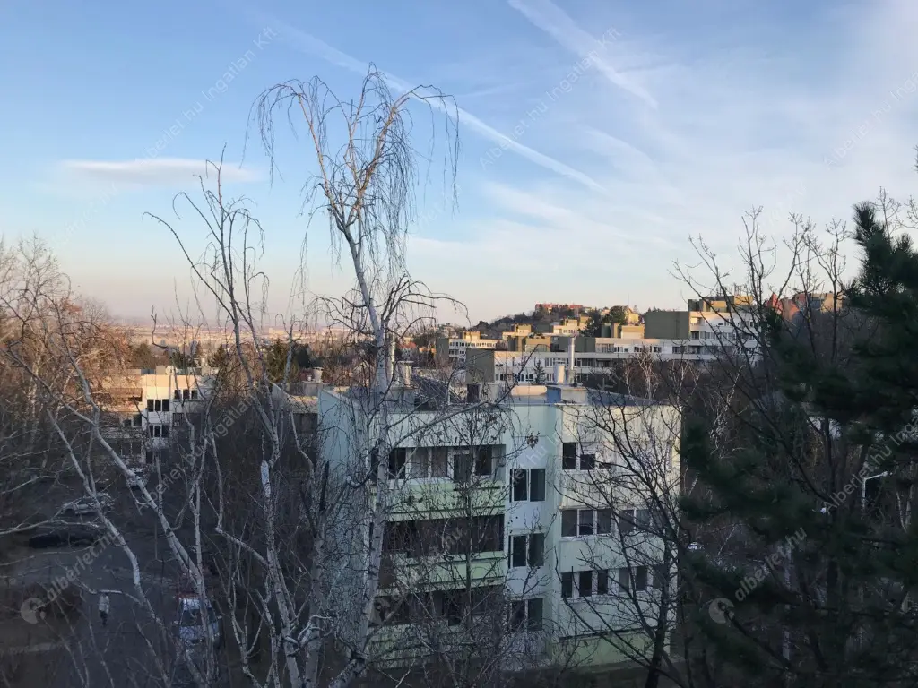 Kiadó albérlet 400000 Ft/hó áron: Budapest, II. kerület  Csalit utca. Mérete: 55 nm, 2 szobás | Alberlet.hu - 6575234