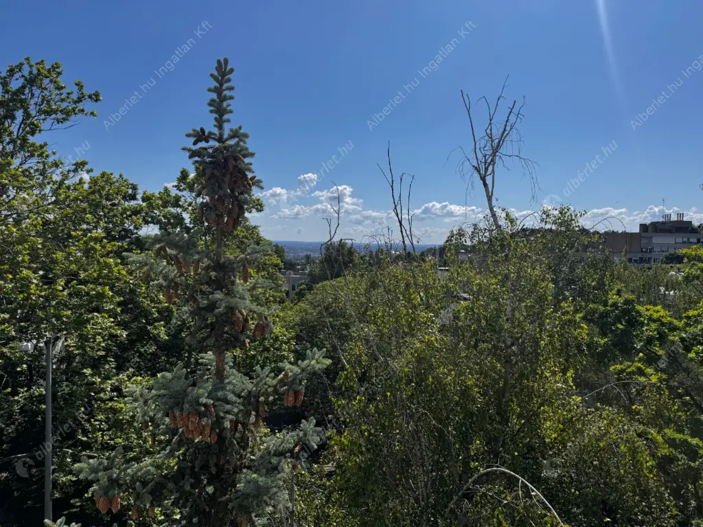 Kiadó albérlet 340000 Ft/hó áron: Budapest, II. kerület  Csalit utca. Mérete: 55 nm, 2 szobás | Alberlet.hu - 6585390