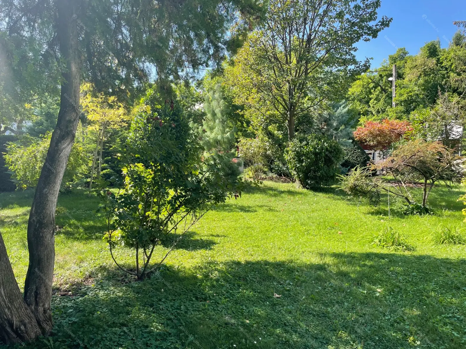 Kiadó albérlet 989000 Ft/hó áron: Budapest, II. kerület  Cserje utca. Mérete: 110 nm, 4 szobás | Alberlet.hu - 6077073