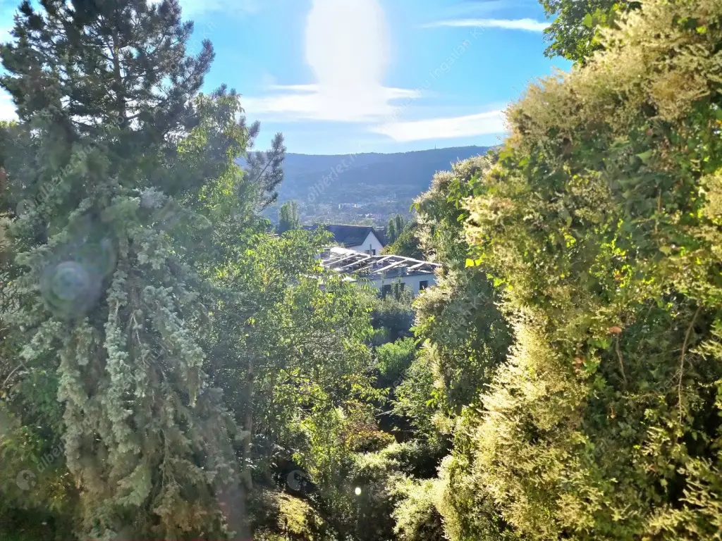 Kiadó albérlet 348000 Ft/hó áron: Budapest, II. kerület  Endrődi Sándor utca. Mérete: 71 nm, 2 szobás | Alberlet.hu - 6565192