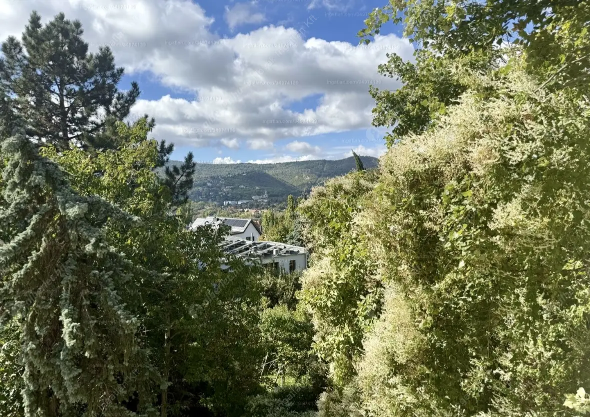 Kiadó albérlet 349000 Ft/hó áron: Budapest, II. kerület  Endrődi Sándor utca. Mérete: 71 nm, 2 szobás | Alberlet.hu - 6557115