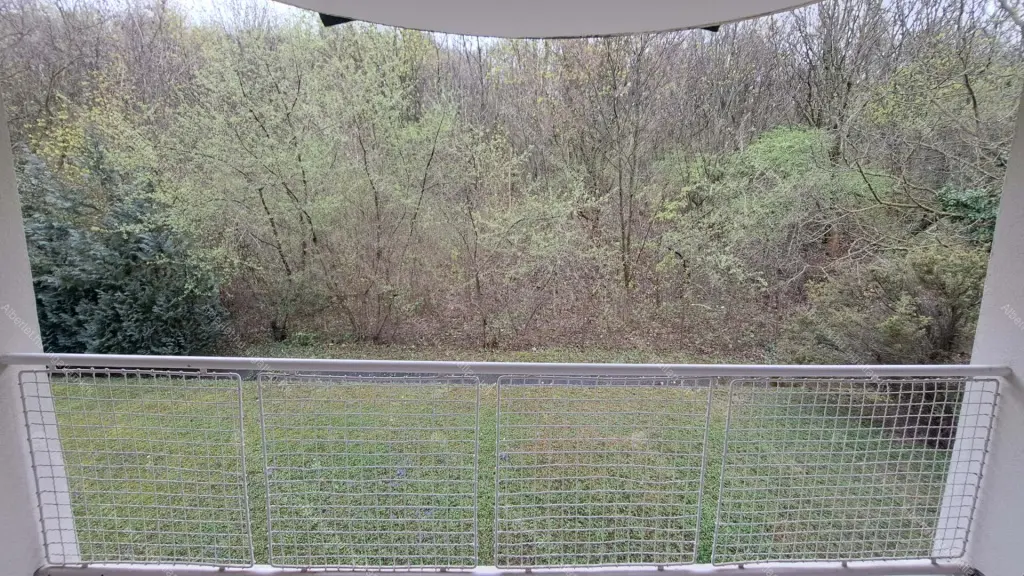 Kiadó albérlet 890000 Ft/hó áron: Budapest, II. kerület  Felső Zöldmáli út. Mérete: 185 nm, 3 szobás | Alberlet.hu - 6689538