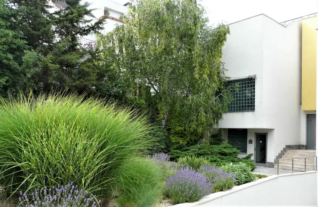 Kiadó albérlet 1400000 Ft/hó áron: Budapest, II. kerület  Fillér utca. Mérete: 153 nm, 5 szobás | Alberlet.hu - 6517445