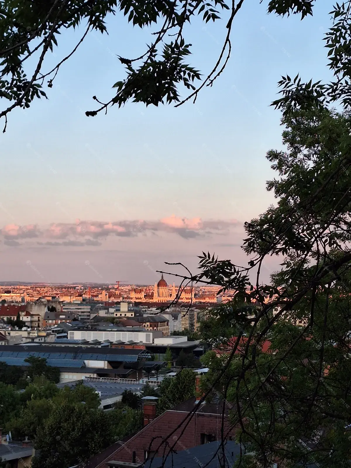 Kiadó albérlet 400000 Ft/hó áron: Budapest, II. kerület  Fillér utca. Mérete: 70 nm, 2 szobás | Alberlet.hu - 6662285