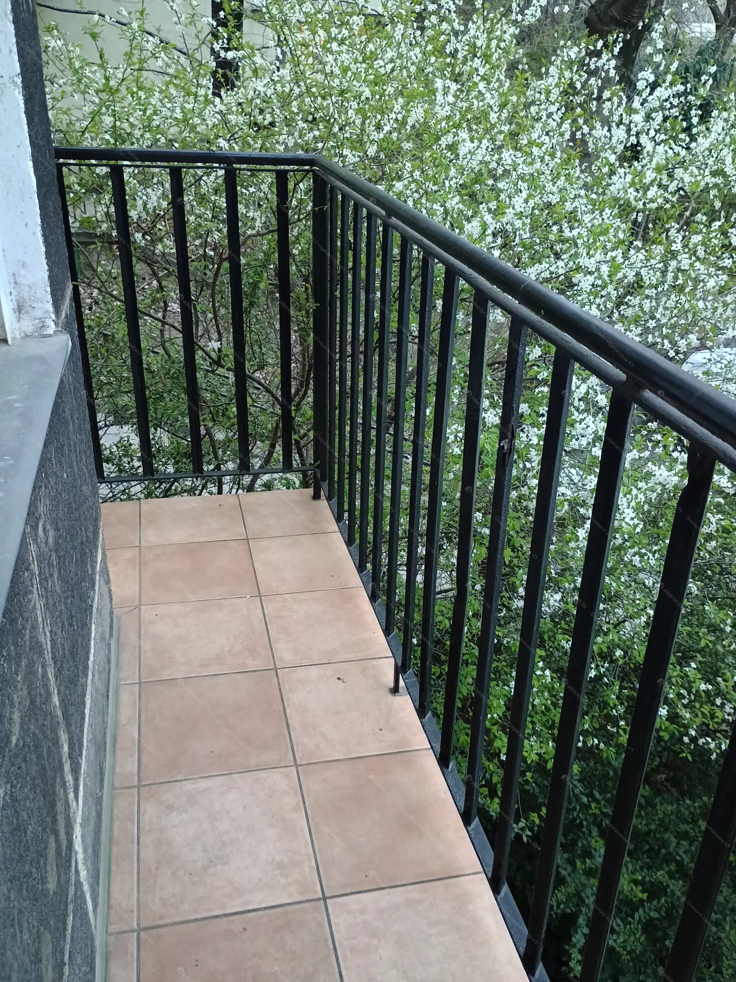 Kiadó albérlet 190000 Ft/hó áron: Budapest, II. kerület  Forint utca. Mérete: 31 nm, 1 szobás | Alberlet.hu - 6634962