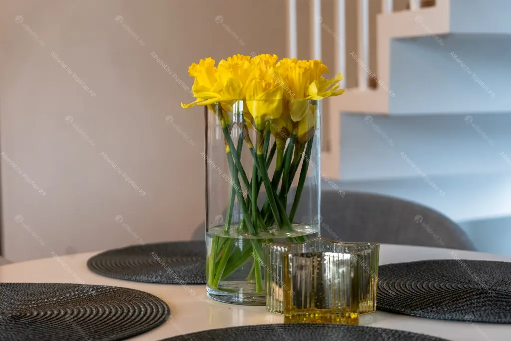 Kiadó albérlet 620000 Ft/hó áron: Budapest, II. kerület  Galóca utca. Mérete: 75 nm, 2 szobás | Alberlet.hu - 6684650