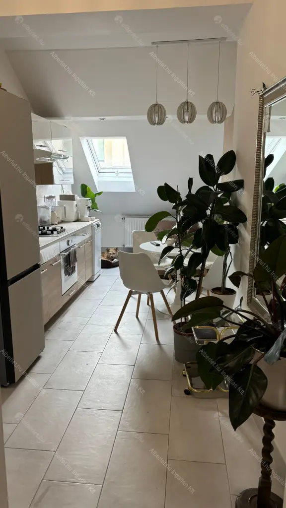 Kiadó albérlet 248000 Ft/hó áron: Budapest, II. kerület  Ganz utca. Mérete: 38 nm, 1 szobás | Alberlet.hu - 6689990