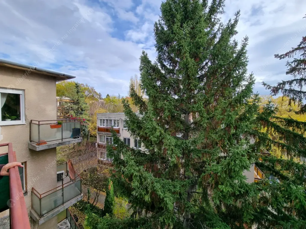 Kiadó albérlet 220000 Ft/hó áron: Budapest, II. kerület  Guyon Richárd utca. Mérete: 45 nm, 2 szobás | Alberlet.hu - 6571318