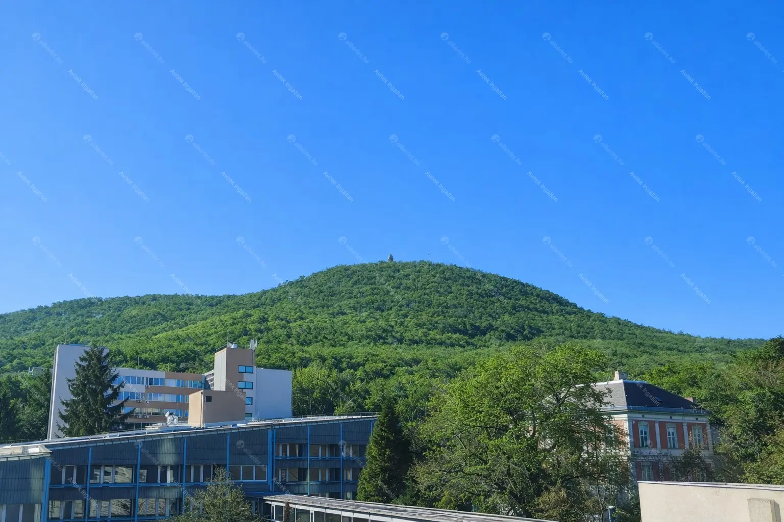 Kiadó albérlet 300000 Ft/hó áron: Budapest, II. kerület  Hárshegyi út. Mérete: 66 nm, 2 szobás | Alberlet.hu - 6691607