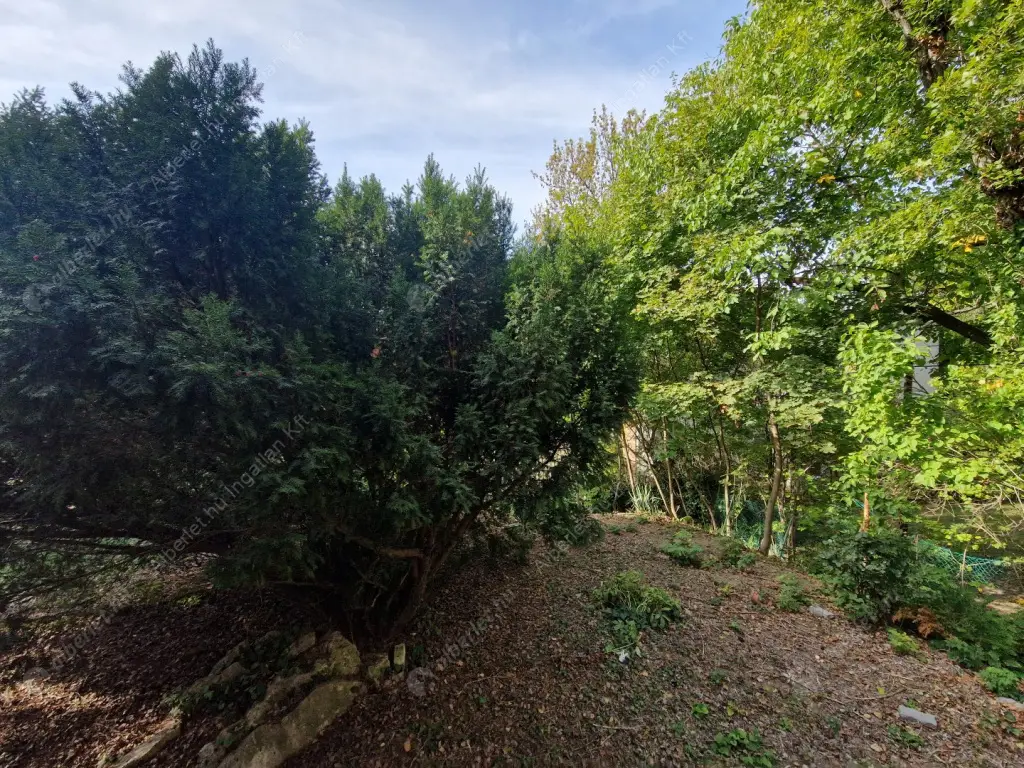 Kiadó albérlet 270000 Ft/hó áron: Budapest, II. kerület  Herman Ottó út. Mérete: 65 nm, 2 szobás | Alberlet.hu - 6592476