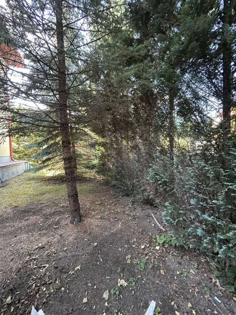 Kiadó albérlet 360000 Ft/hó áron: Budapest, II. kerület  Huba vezér utca. Mérete: 75 nm, 3 szobás | Alberlet.hu - 6572882