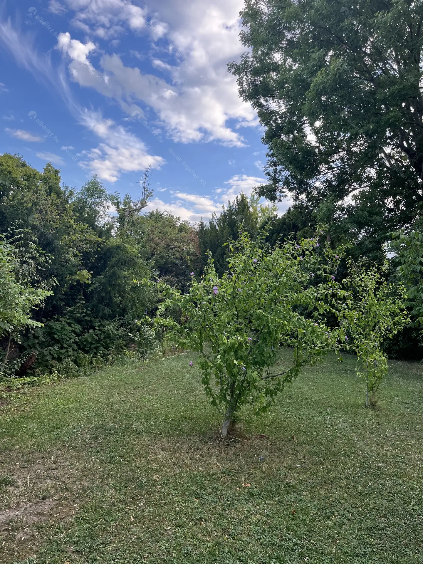 Kiadó albérlet 290000 Ft/hó áron: Budapest, II. kerület  Józsefhegyi utca. Mérete: 50 nm, 2 szobás | Alberlet.hu - 6505808
