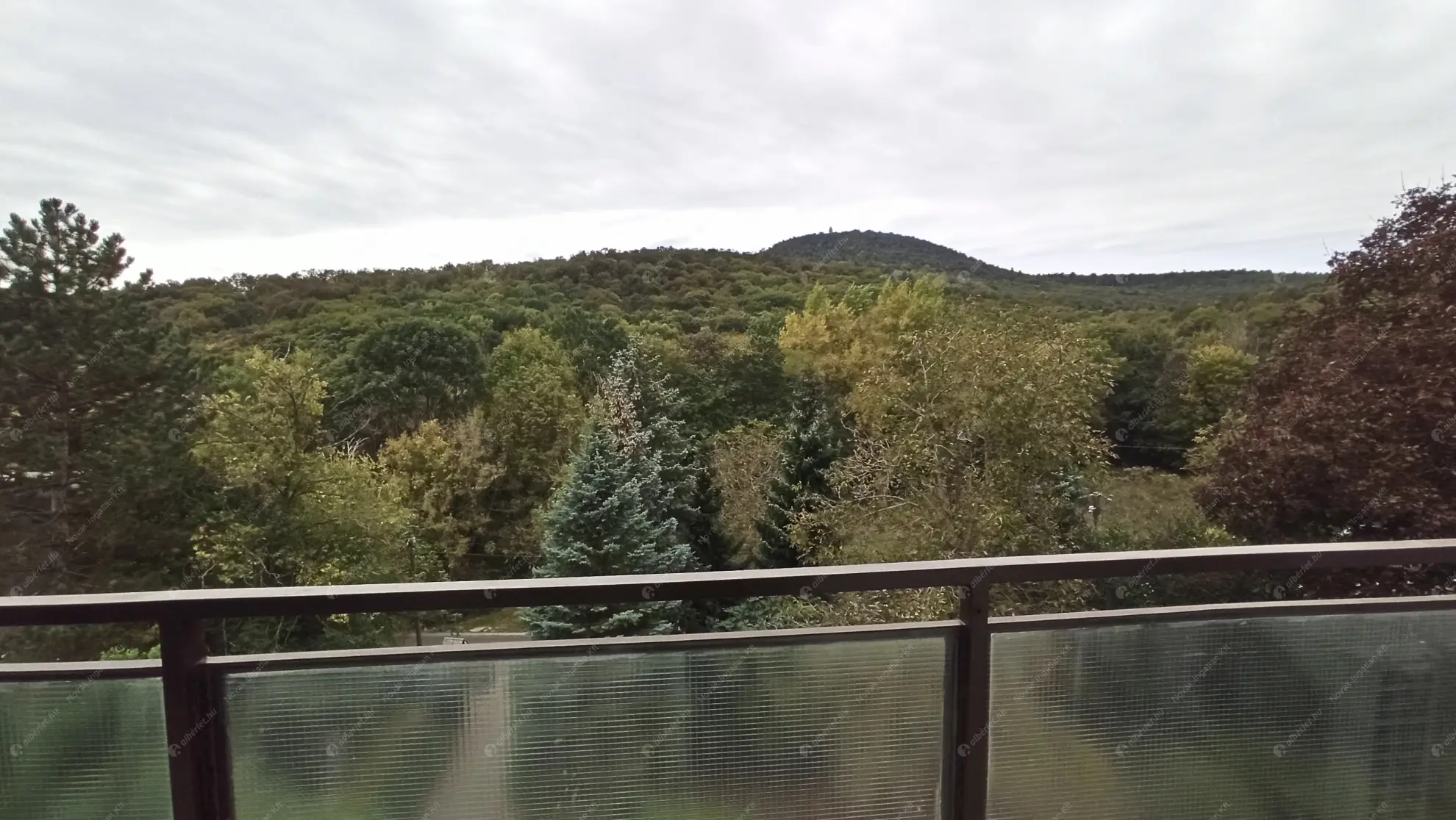 Kiadó albérlet 300000 Ft/hó áron: Budapest, II. kerület  Kuruclesi út. Mérete: 63 nm, 2 szobás | Alberlet.hu - 6635118