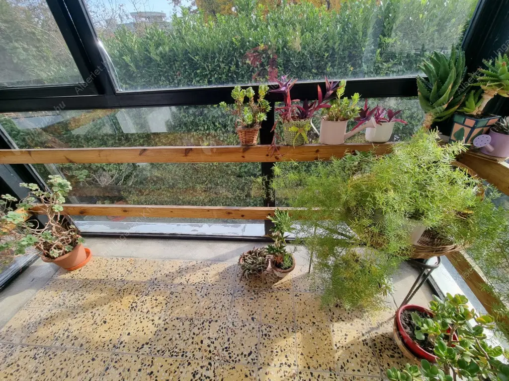 Kiadó albérlet 330000 Ft/hó áron: Budapest, II. kerület  Labanc út. Mérete: 54 nm, 2 szobás | Alberlet.hu - 6570419