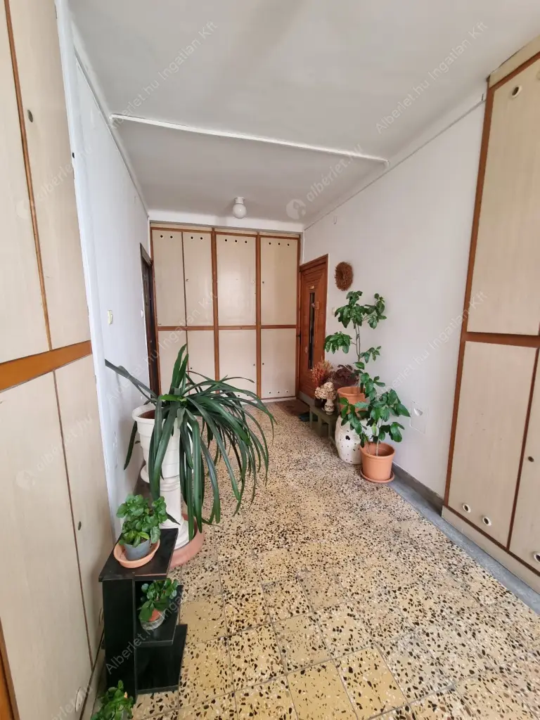 Kiadó albérlet 319000 Ft/hó áron: Budapest, II. kerület  Labanc út. Mérete: 54 nm, 2 szobás | Alberlet.hu - 6615283