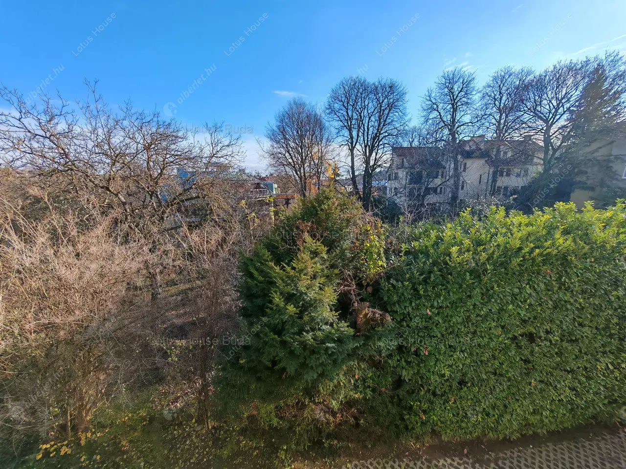 Kiadó albérlet 340000 Ft/hó áron: Budapest, II. kerület  Labanc utca. Mérete: 54 nm, 2 szobás | Alberlet.hu - 6598174