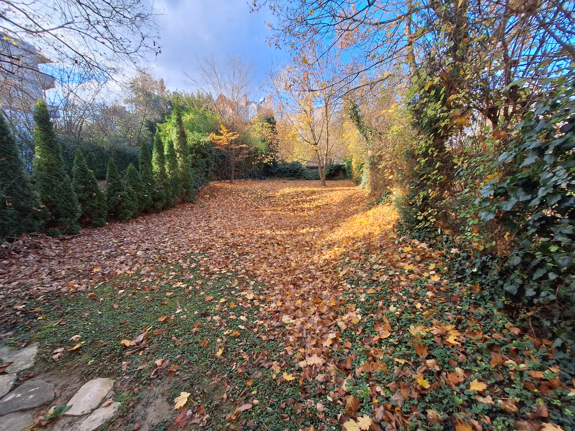 Kiadó albérlet 1077000 Ft/hó áron: Budapest, II. kerület  Lotz Károly utca. Mérete: 150 nm, 4 szobás | Alberlet.hu - 6579844