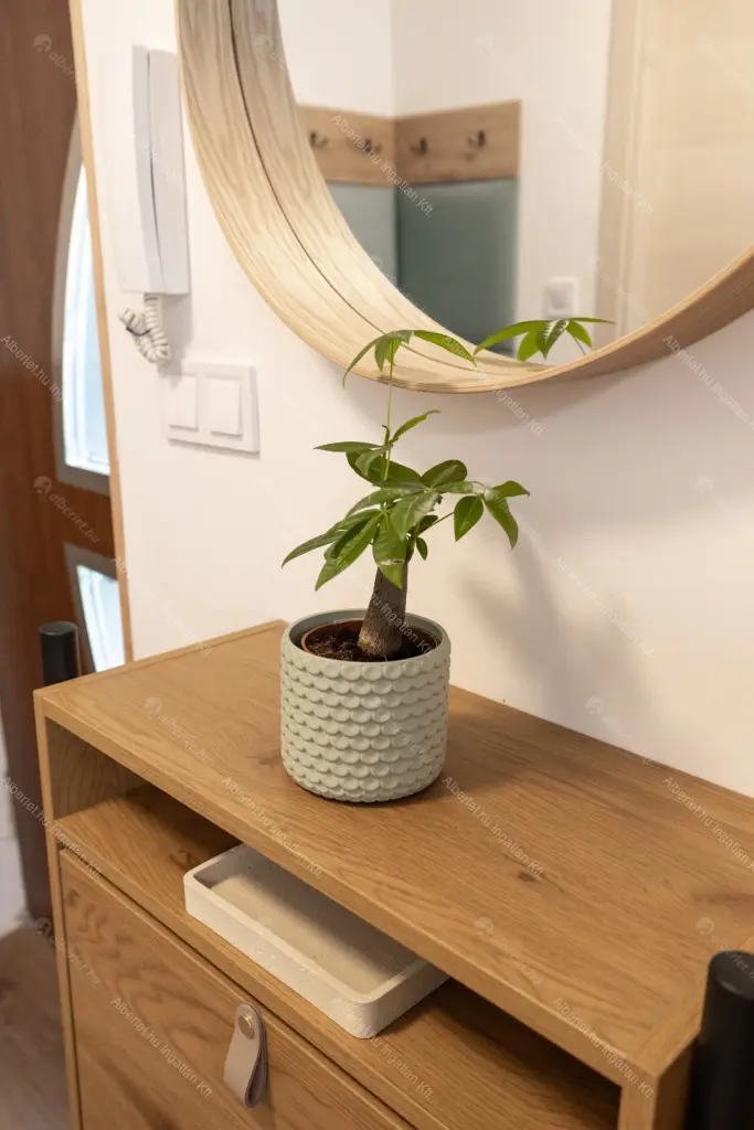 Kiadó albérlet 210000 Ft/hó áron: Budapest, II. kerület  Lotz Károly utca. Mérete: 20 nm, 1 szobás | Alberlet.hu - 6705497