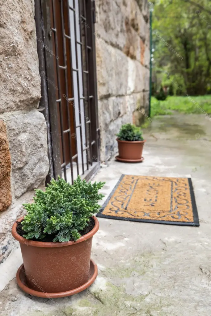 Kiadó albérlet 210000 Ft/hó áron: Budapest, II. kerület  Lotz Károly utca. Mérete: 20 nm, 1 szobás | Alberlet.hu - 6705508