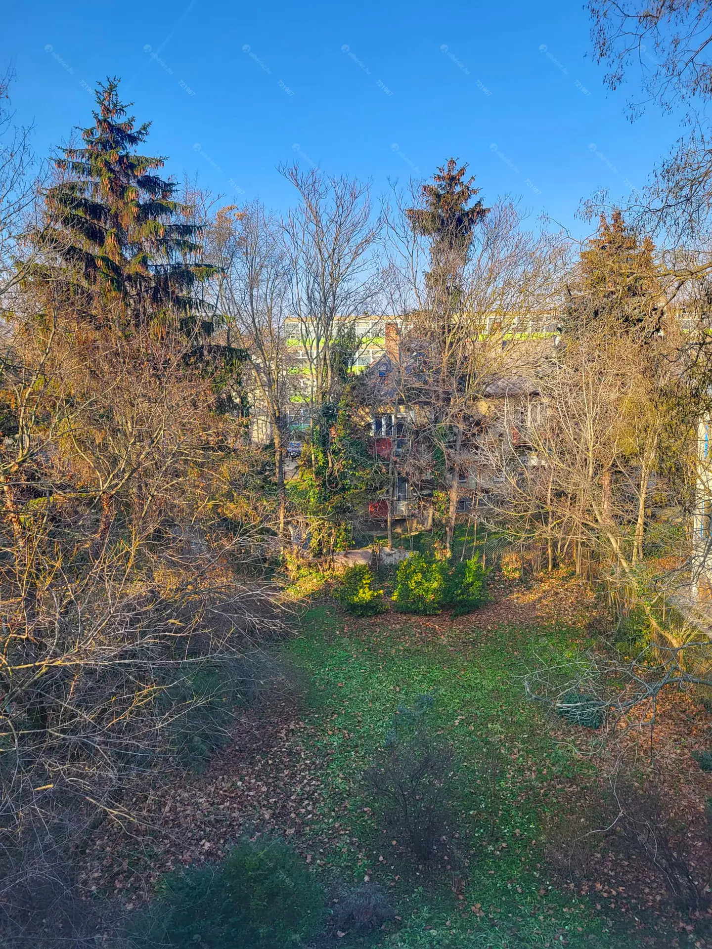 Kiadó albérlet 285000 Ft/hó áron: Budapest, II. kerület  Lotz Károly utca. Mérete: 44 nm, 1 szobás | Alberlet.hu - 5874553